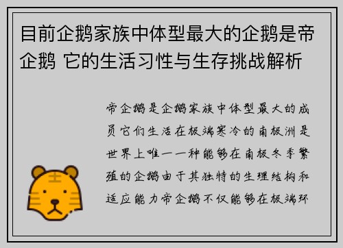 目前企鹅家族中体型最大的企鹅是帝企鹅 它的生活习性与生存挑战解析